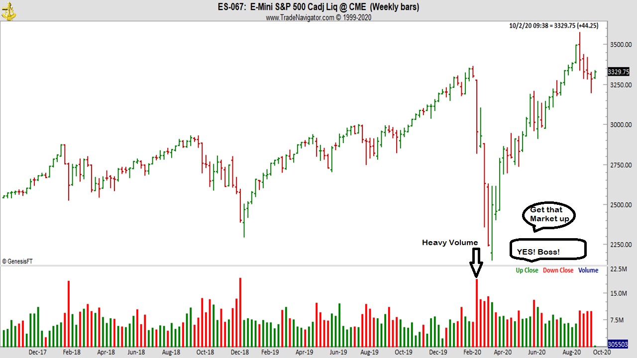 Joe Ross shares trading success example trading education